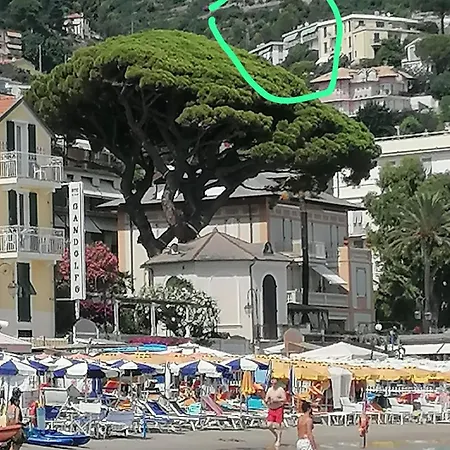 Fiori D'alassio Vacanze Liguria Alassio